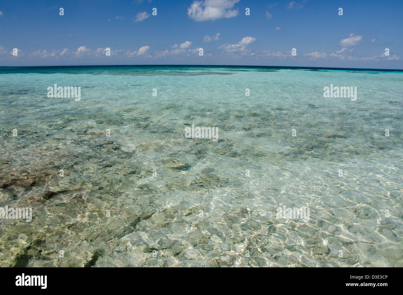 Belize, Caribbean Sea, Goff Caye. A small island off the shore of Belize City, Belize along the Barrier Reef. UNESCO. Stock Photo