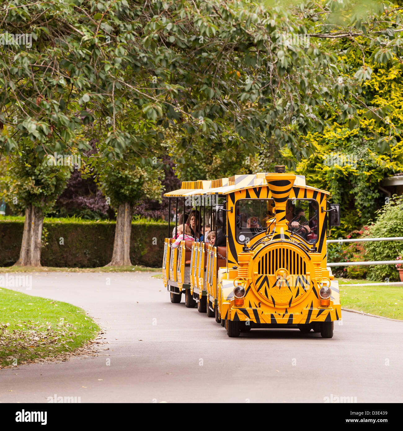 The road train at Banham Zoo , Norfolk , England , Britain , Uk Stock Photo
