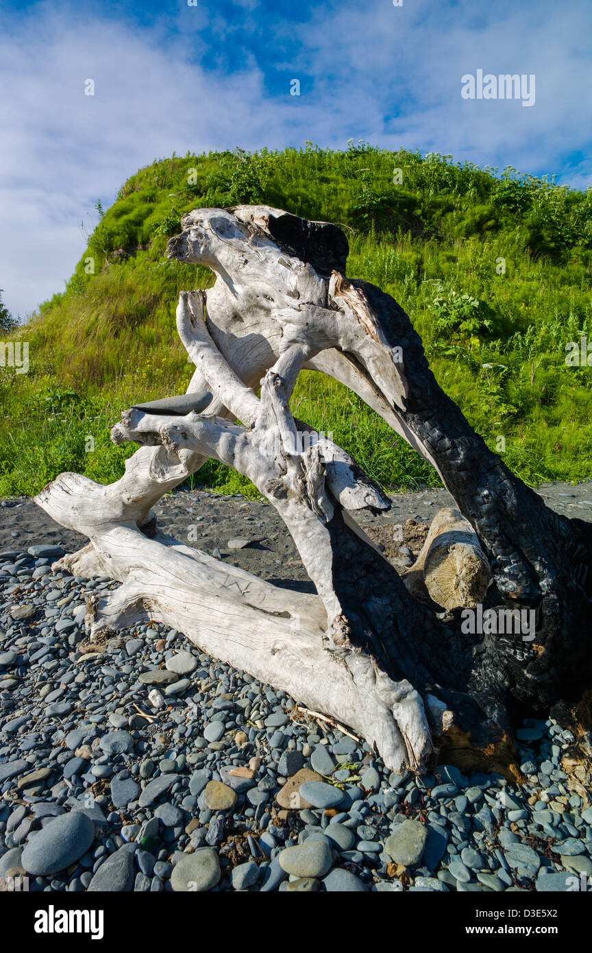 Weathered driftwood, Bishop Beach, Homer, Alaska, USA Stock Photo