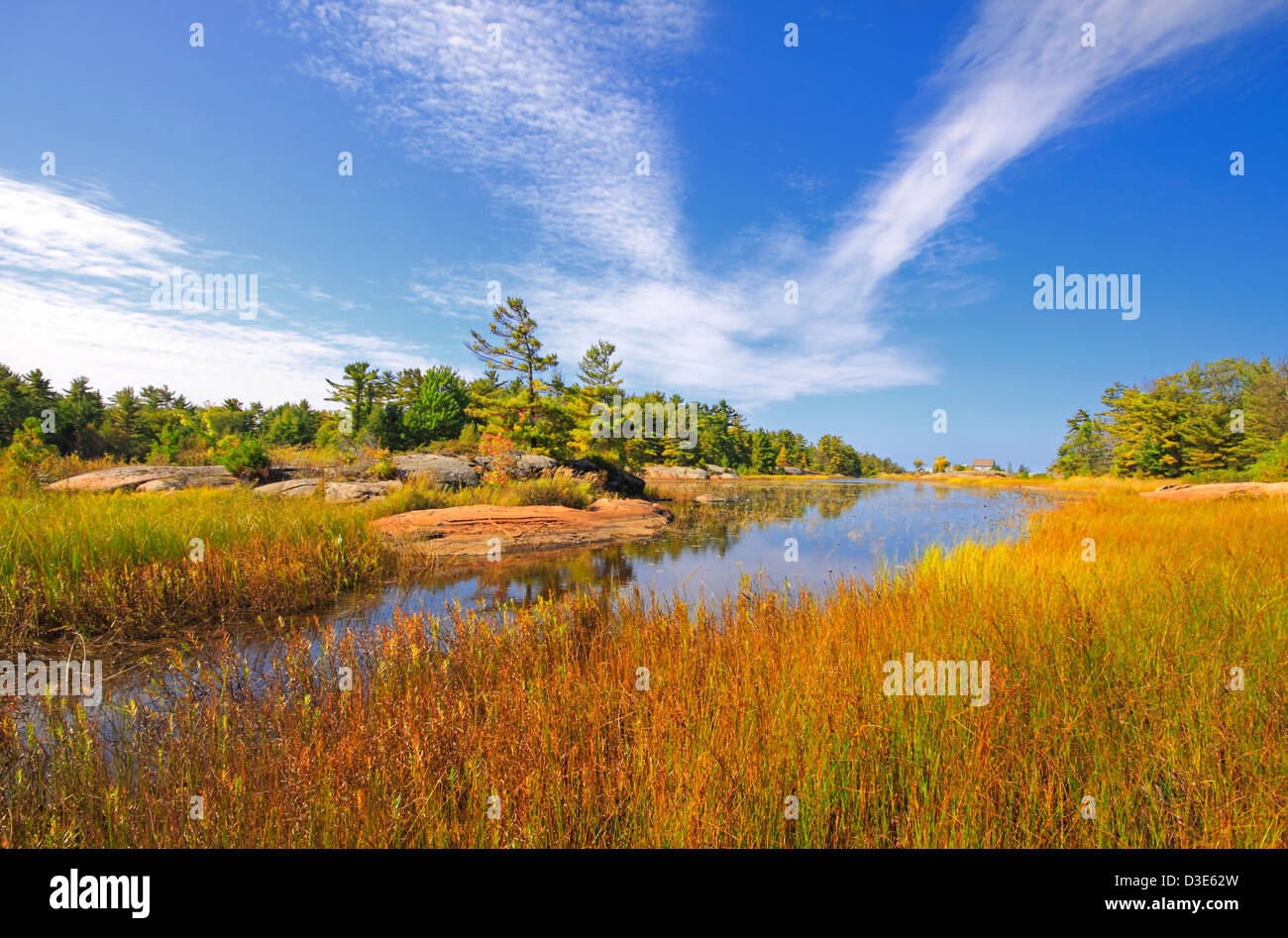 Tree islands georgian bay hi-res stock photography and images - Alamy