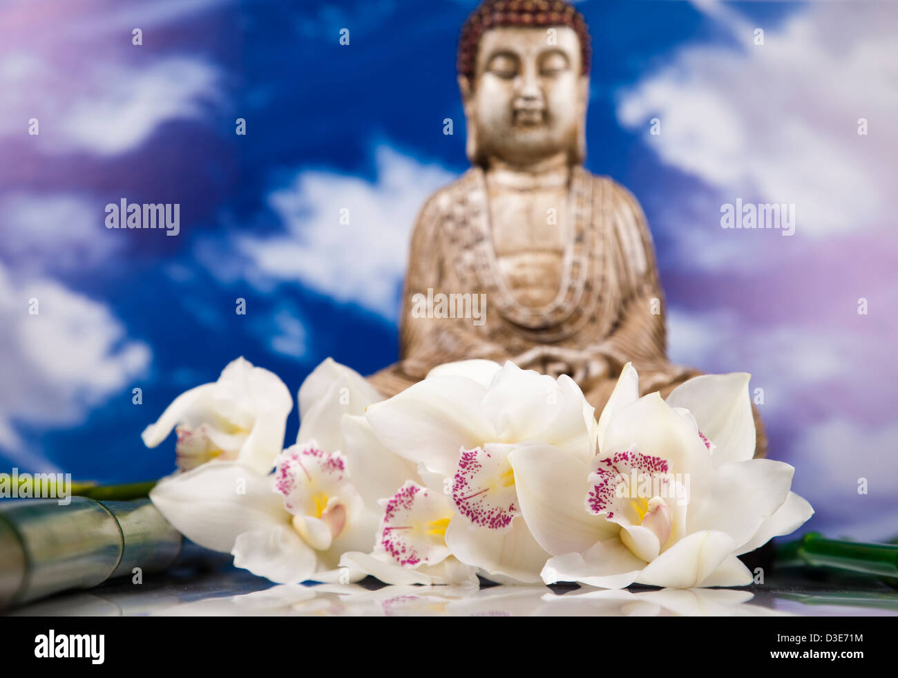 Buddha statue with orchid flower on blue sky background Stock Photo - Alamy