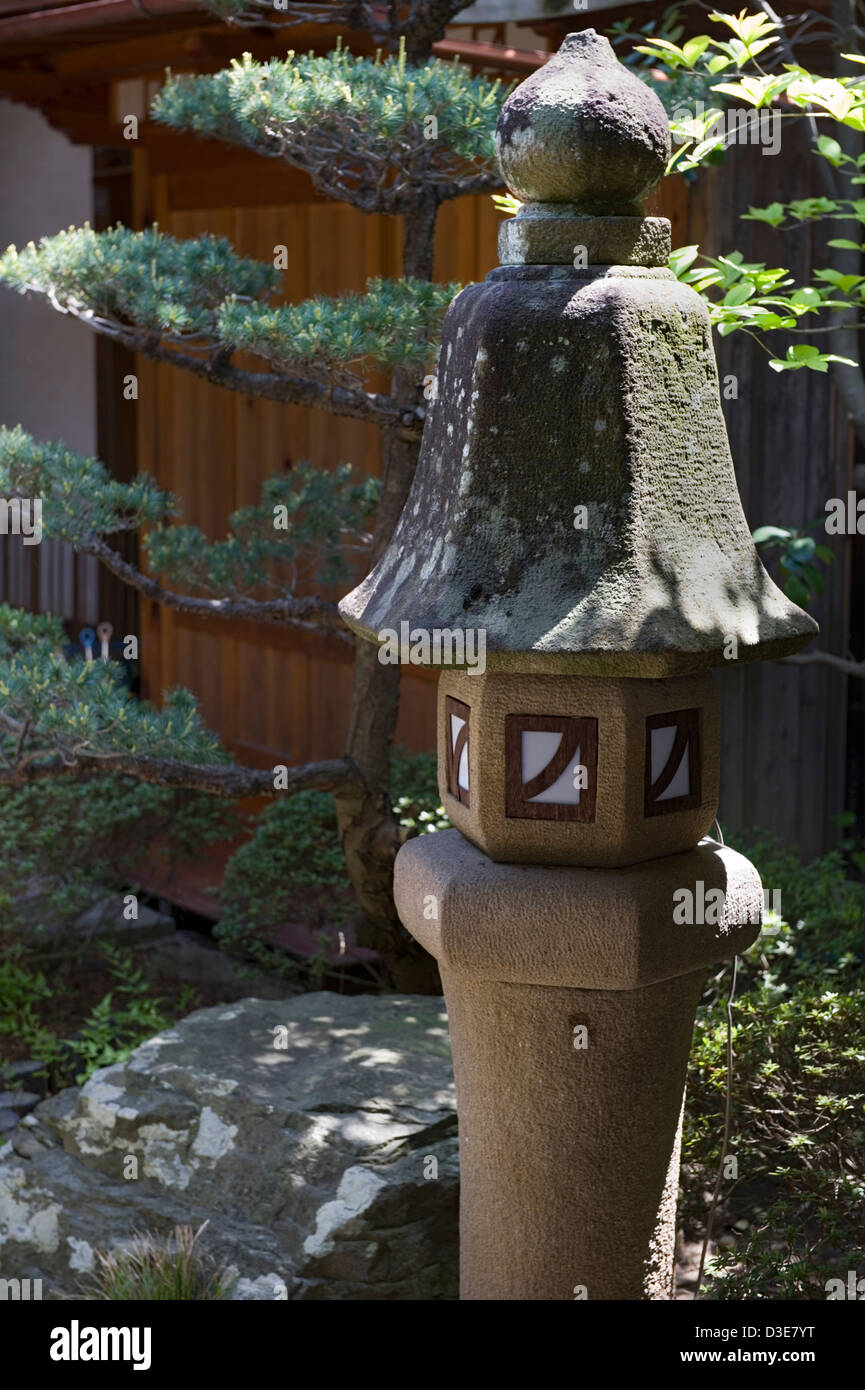 An unusual tall, skinny stone lantern and a manicured matsu pine tree in a Japanese landscape garden. Stock Photo