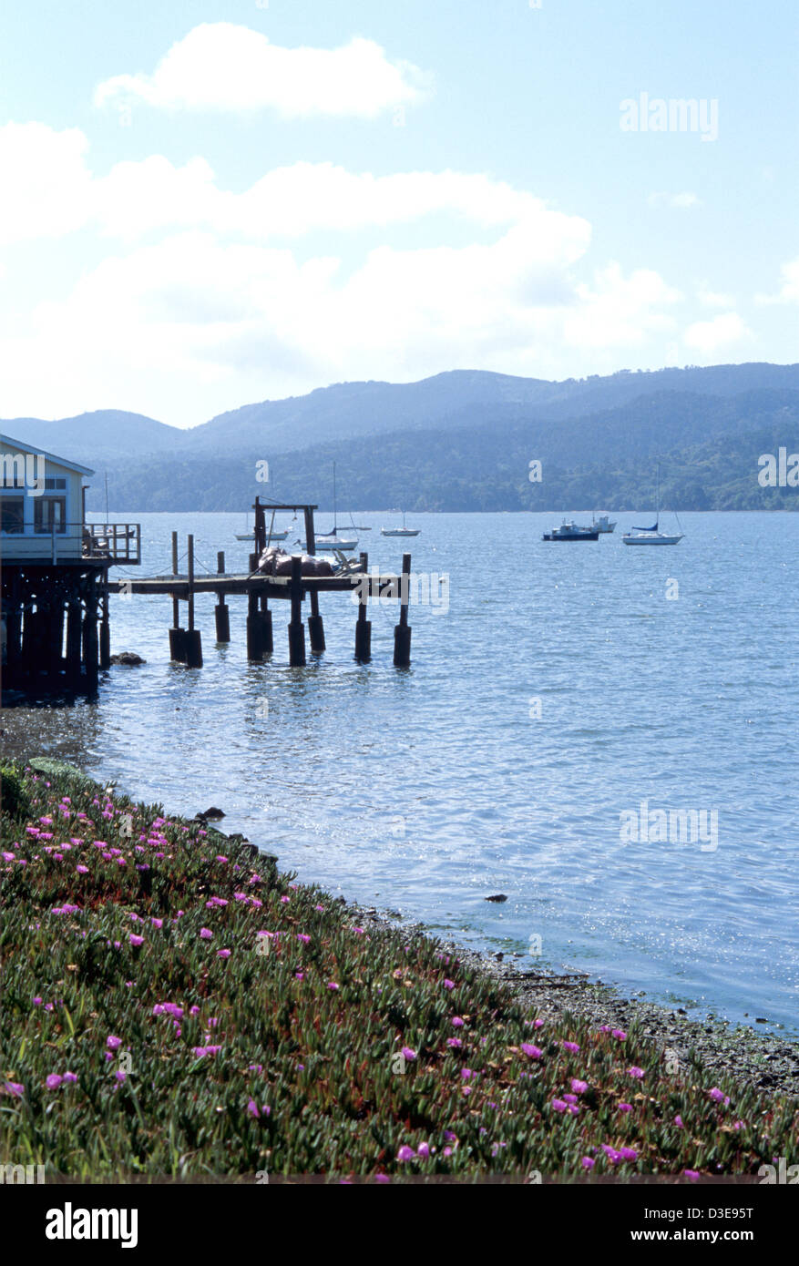 Marshall point reyes hires stock photography and images Alamy
