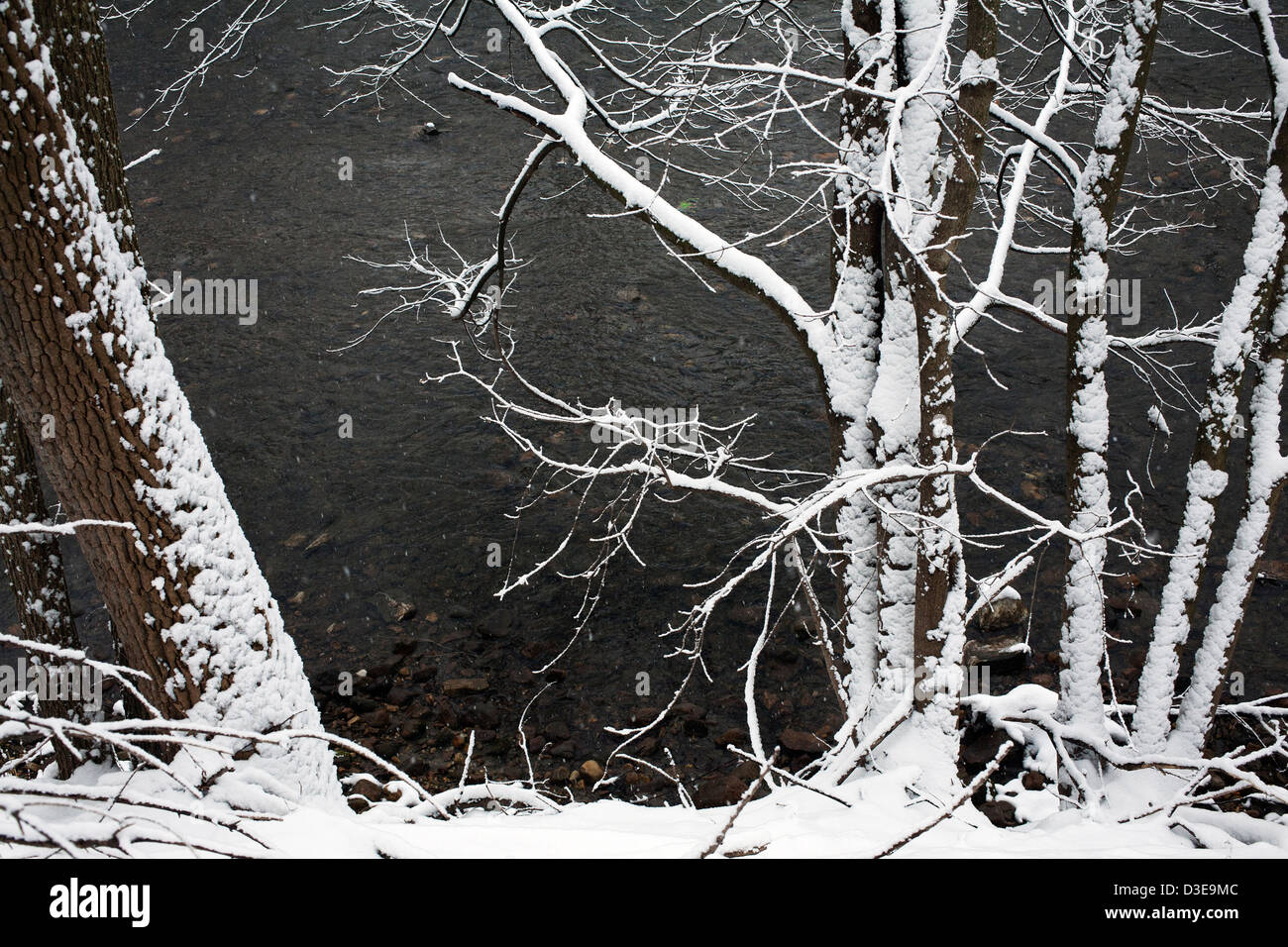 Snow-covered trees form a delicate pattern along the South branch of the Hoosic River in Massachusetts. Stock Photo