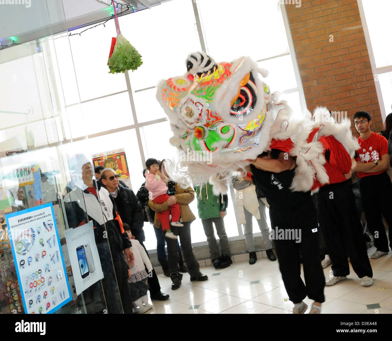 February 16, 2013. Toronto, Canada. Traditional Chinese Lion Dance at Pacific Mall performing a customary Choy Cheng (Cai Qing), meaning plucking the greens, to bring good luck and fortune to the business visited.  (DCP/N8N) Stock Photo