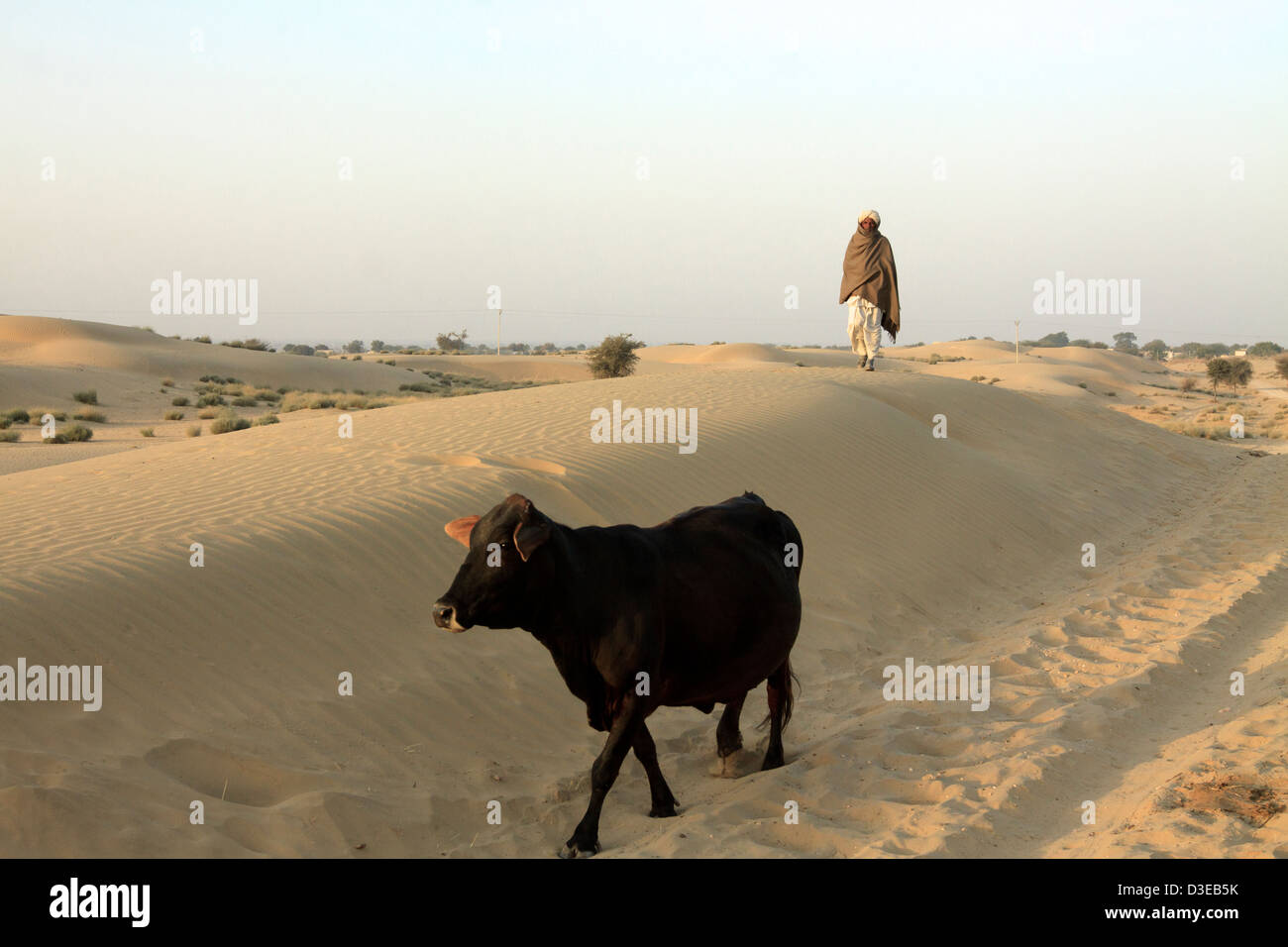 Thar Desert India Stock Photo