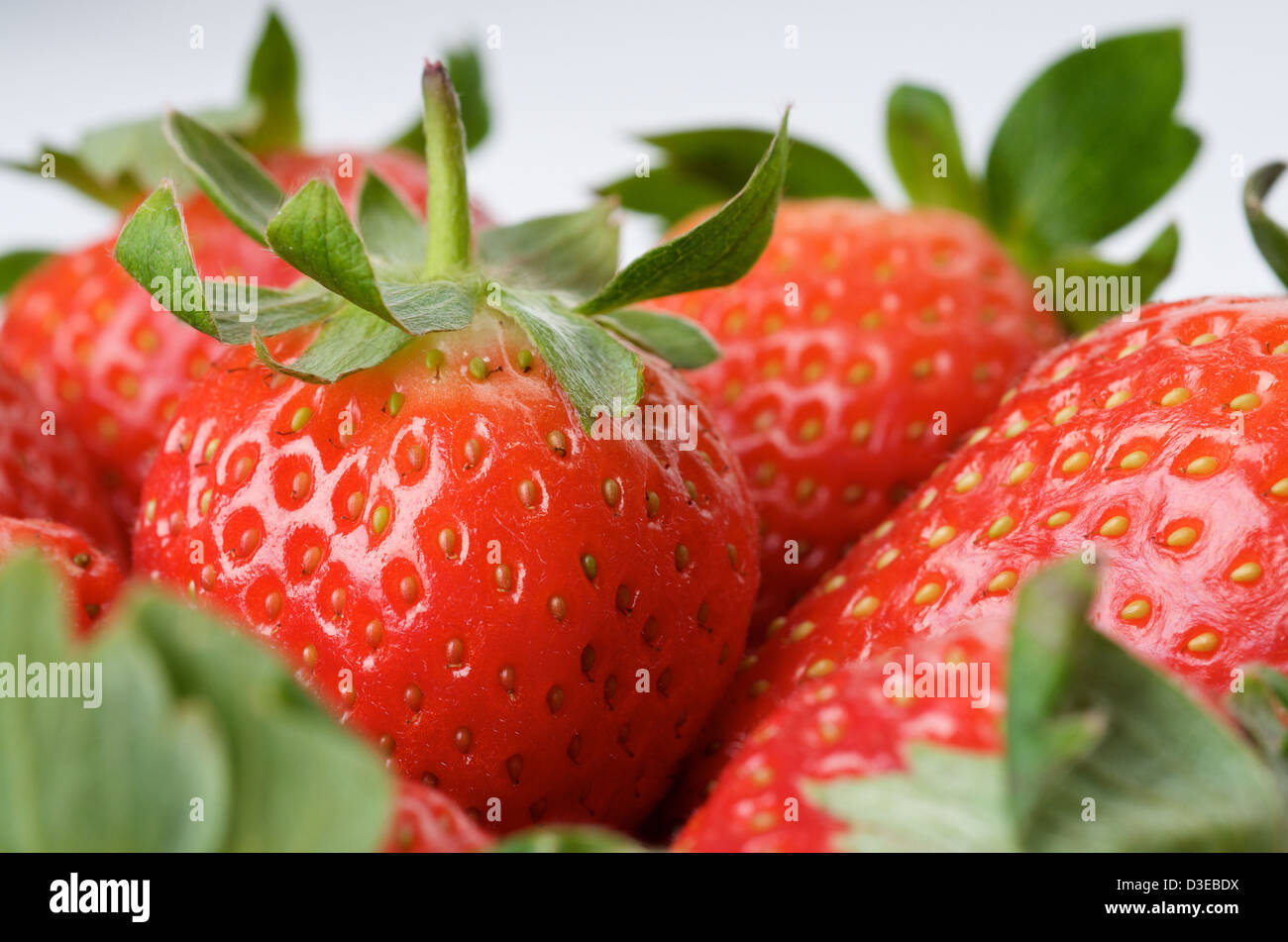 Strawberries close up in isolated white background Stock Photo - Alamy