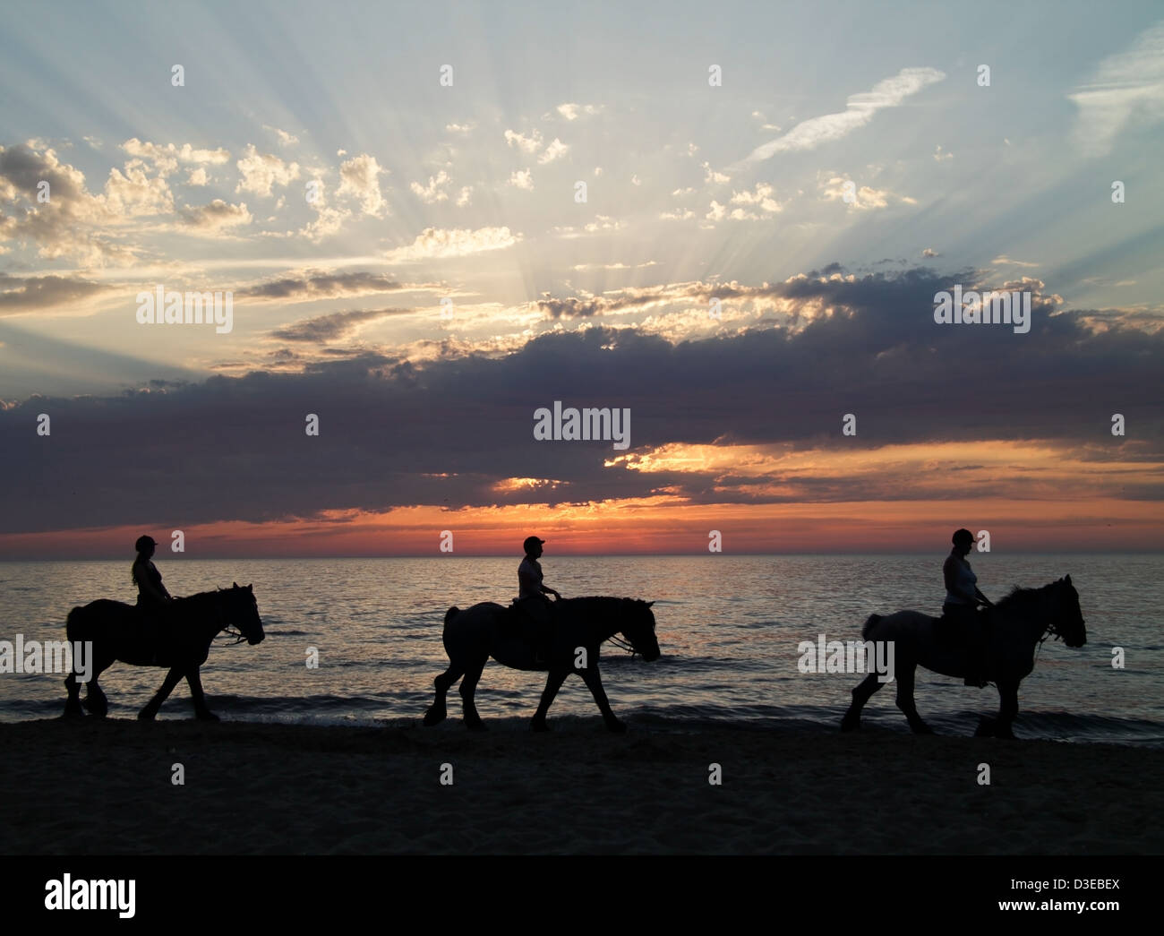 Silhouette of horse riders against the ocean and a sunset Stock Photo ...