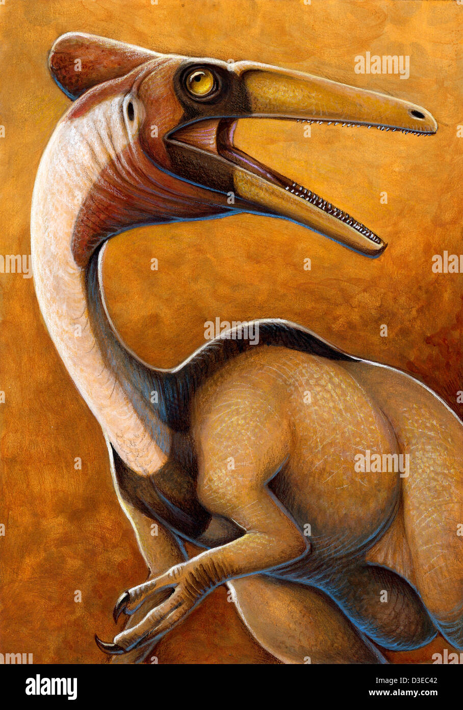 Pelicanimimus from the Early Cretaceous period. Stock Photo