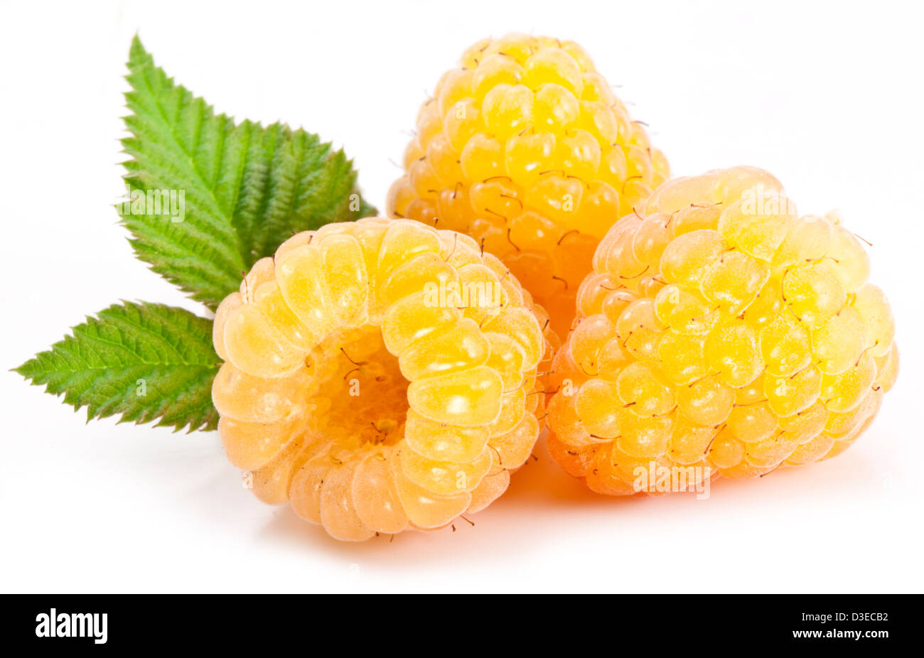 Yellow raspberries isolated on a white background. Stock Photo
