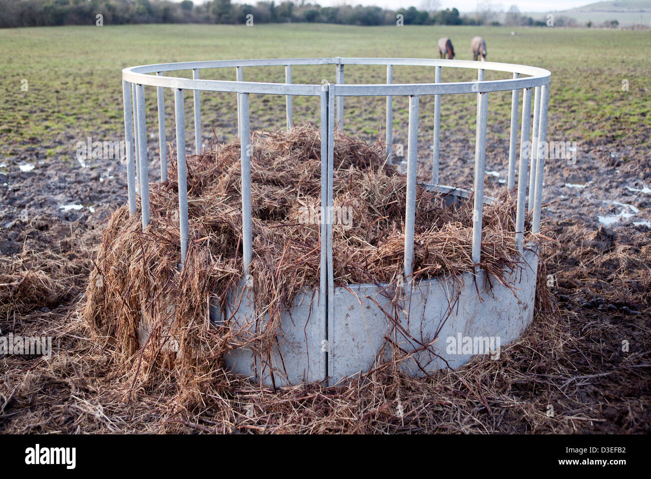 Horse Feeding Station Stock Photo Alamy