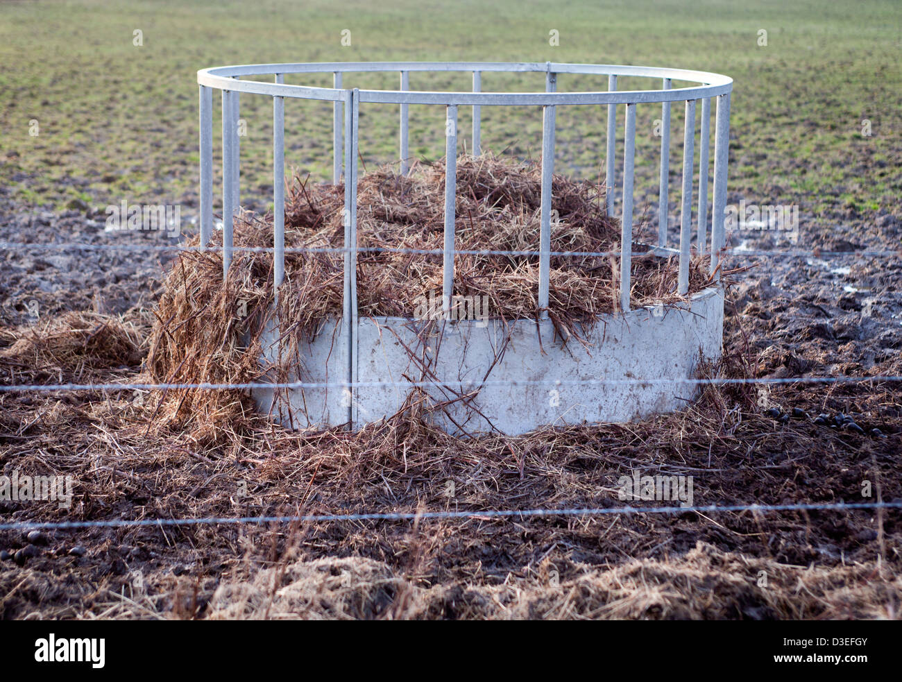 Horse Feeding Station Stock Photo Alamy