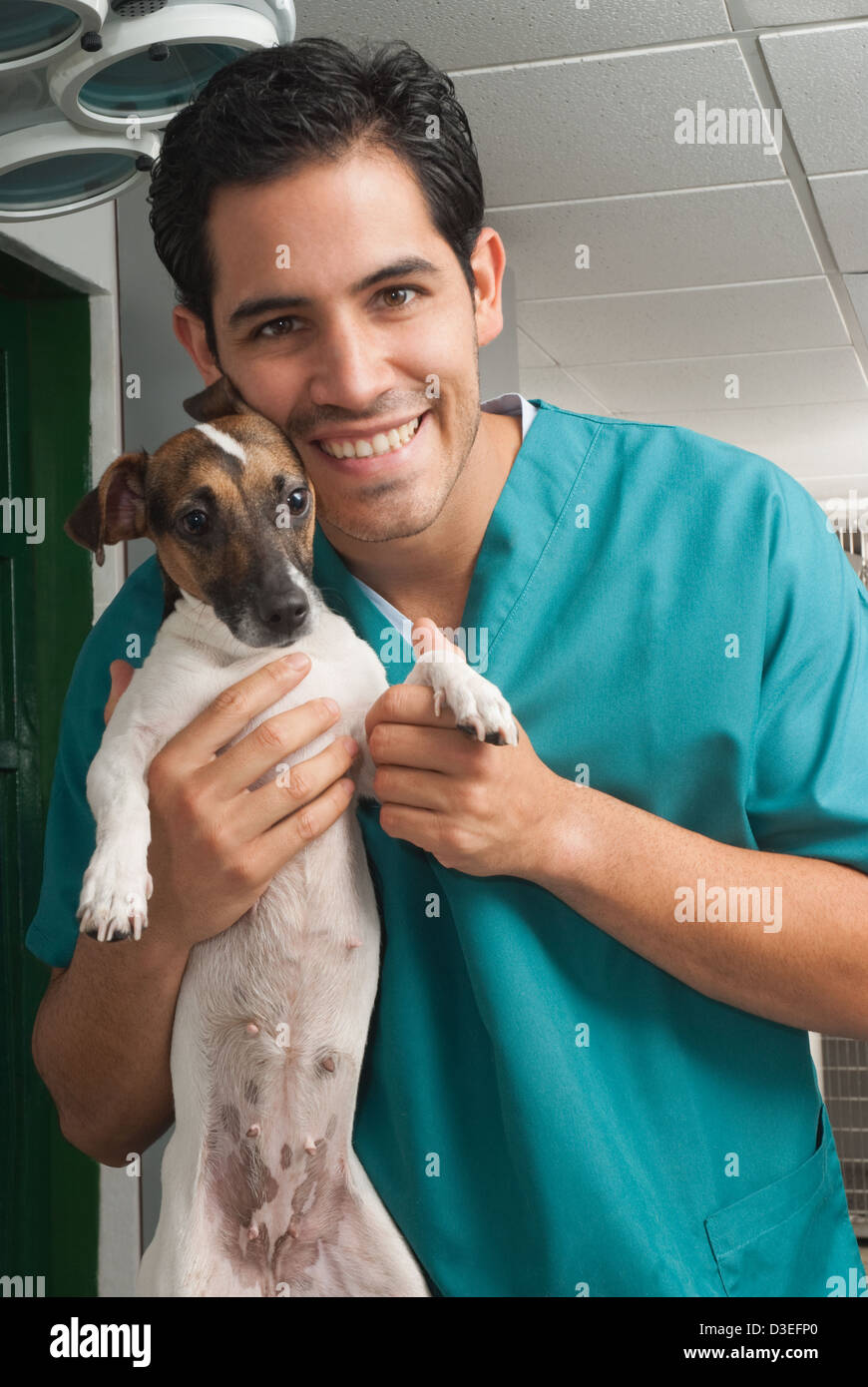 Picture of a veterinary taking care of pet Stock Photo Alamy