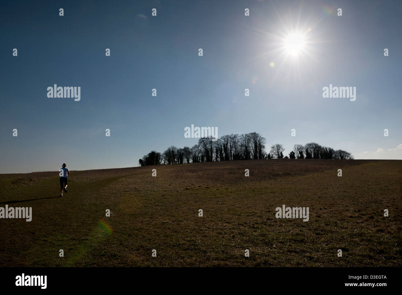 Gog and magog hires stock photography and images Alamy