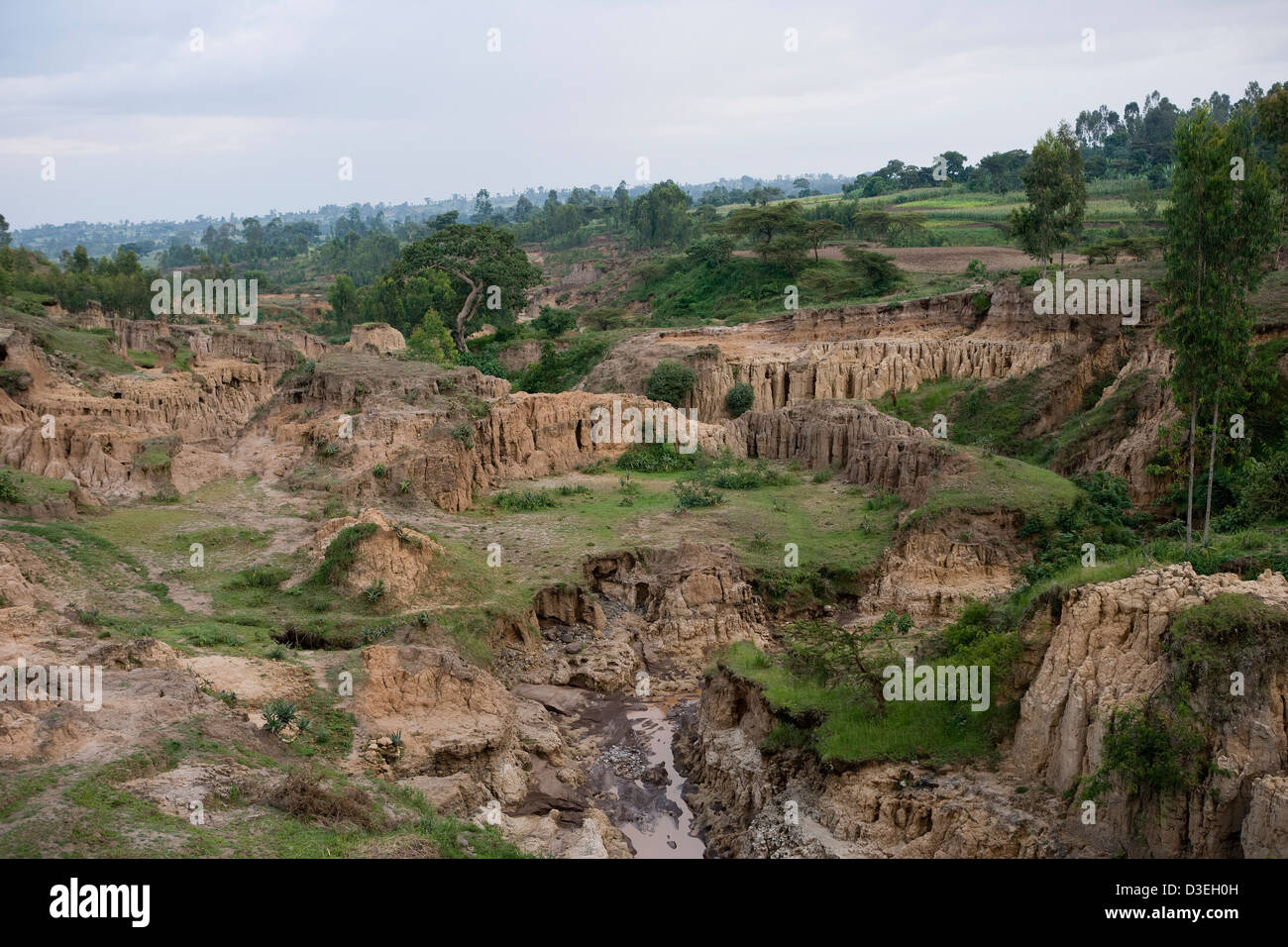 JAFFA VILLAGE, WOLAYITA ZONE, SOUTHERN ETHIOPIA, 19TH AUGUST 2008: River erosion due to deforestation upstream destroys land Stock Photo