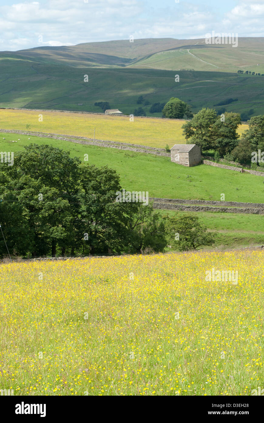 View of Wensleydale, with Stags Fell in distance, near Hawes, Yorkshire Dales National Park, England Stock Photo