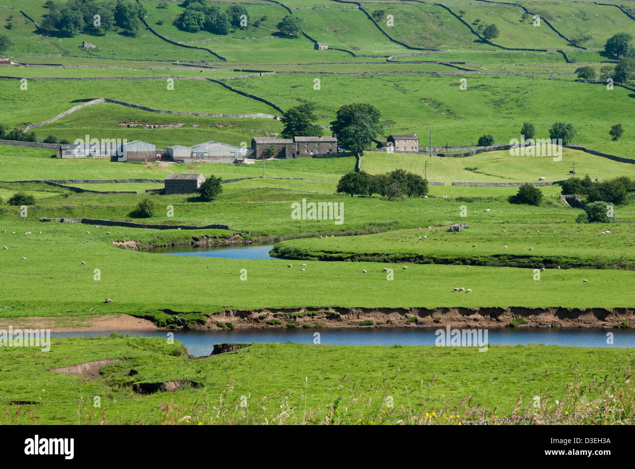 River Ure winding through farmland near Hawes in Wensleydale, Yorkshire Dales National Park, England Stock Photo