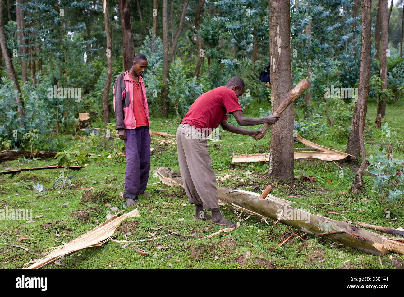 Wolayita zone hires stock photography and images Alamy