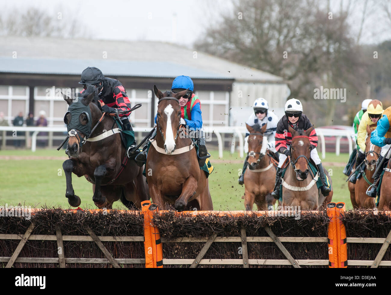 Fakenham races February 15th 2013 picture by Adrian Judd Stock Photo