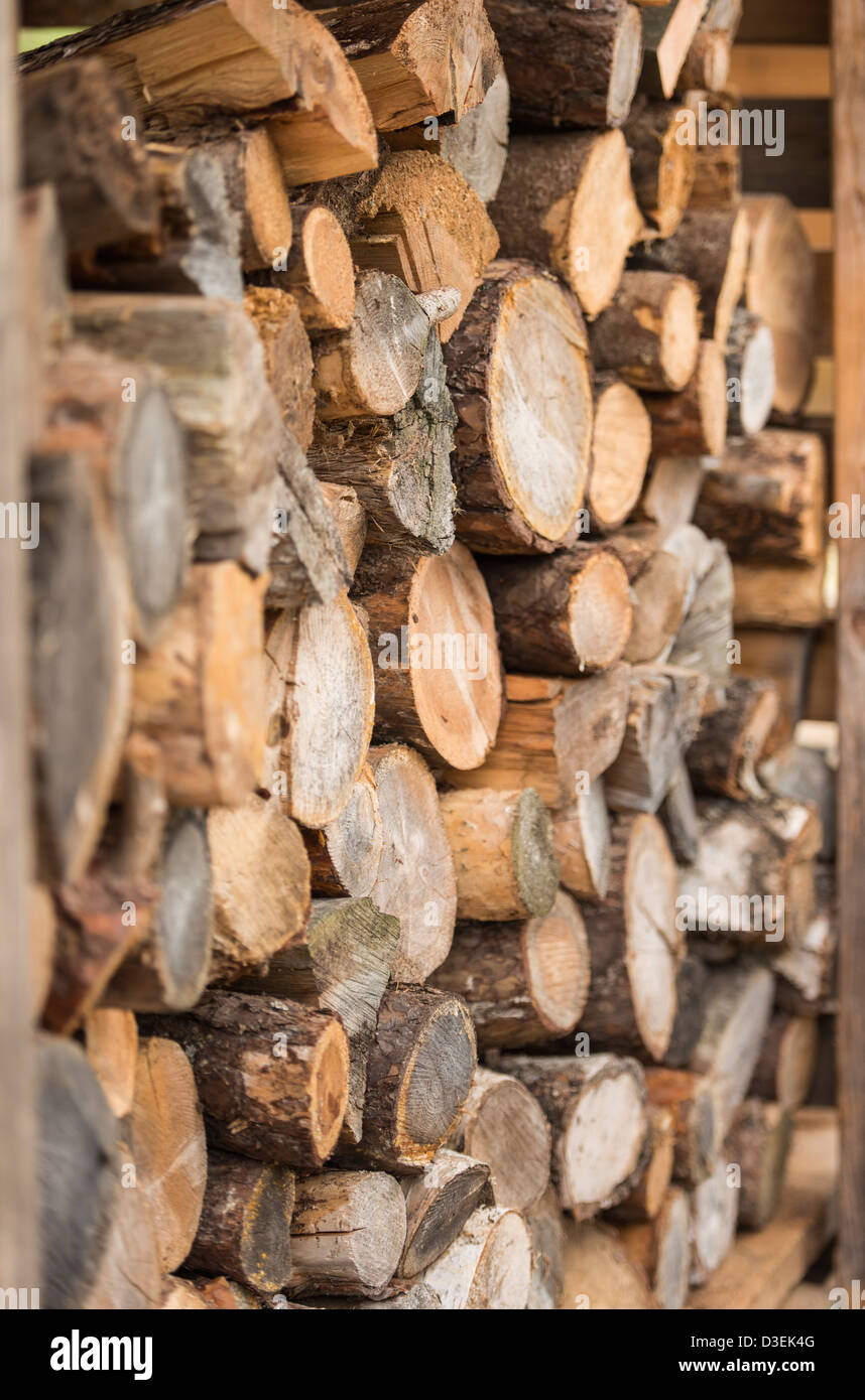 Side view closeup of woodpile with pine tree logs stacked Stock Photo