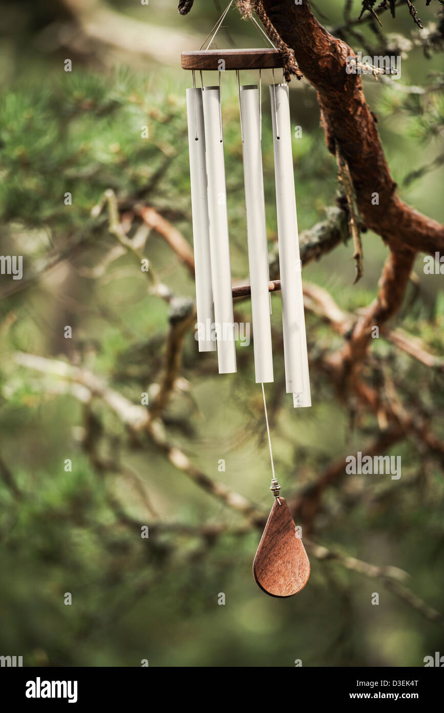 Metal wind chime hanging from tree branch in forest Stock Photo