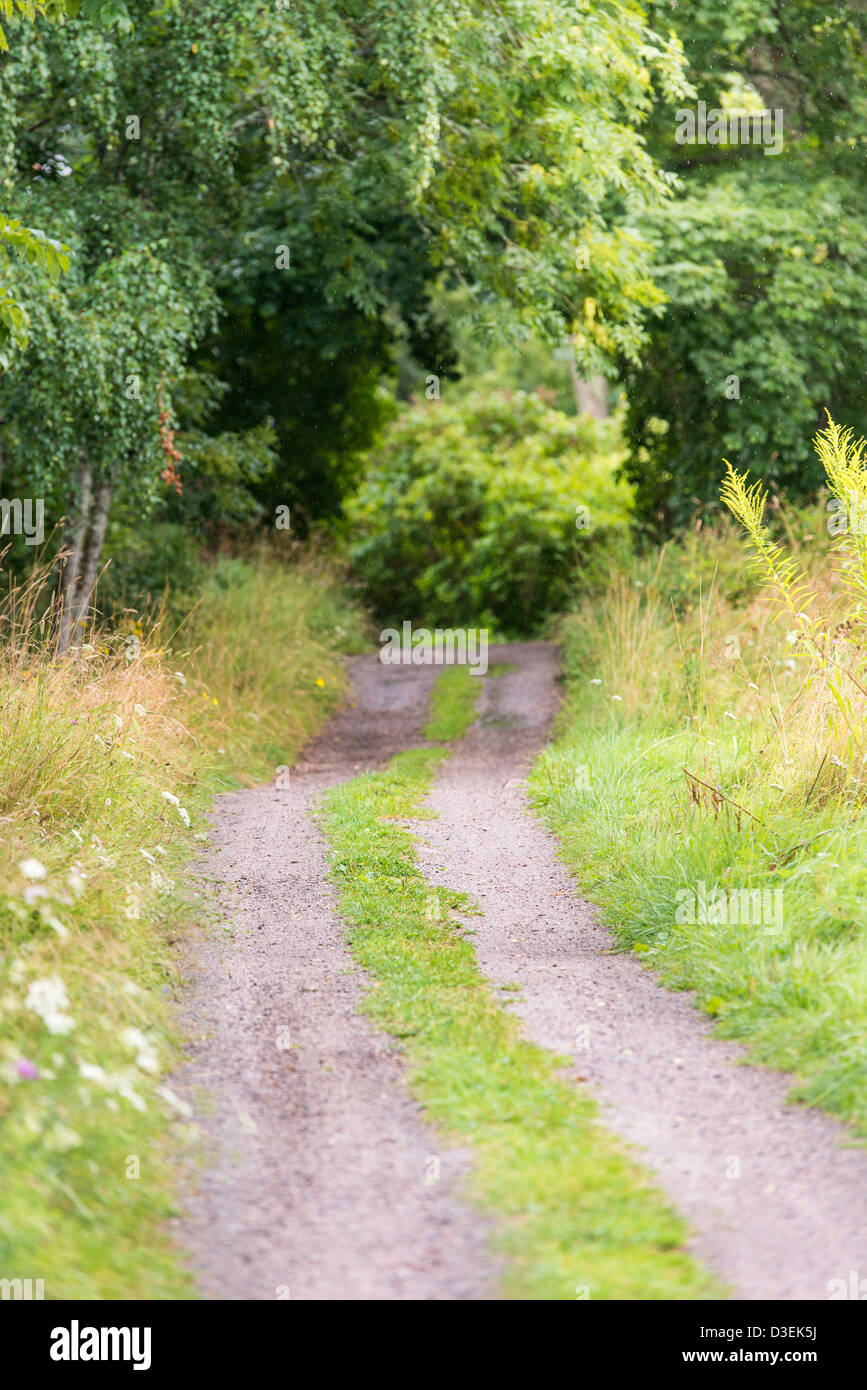 Empty gravel road lingering through lush woods at summer in rural part of Sweden Stock Photo