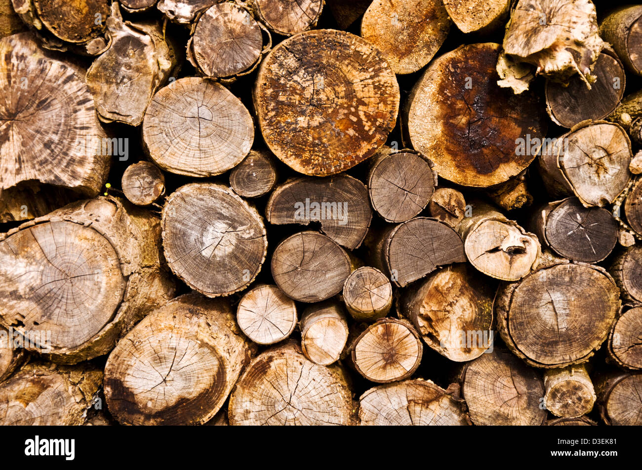 Pile cut logs used hi-res stock photography and images - Alamy
