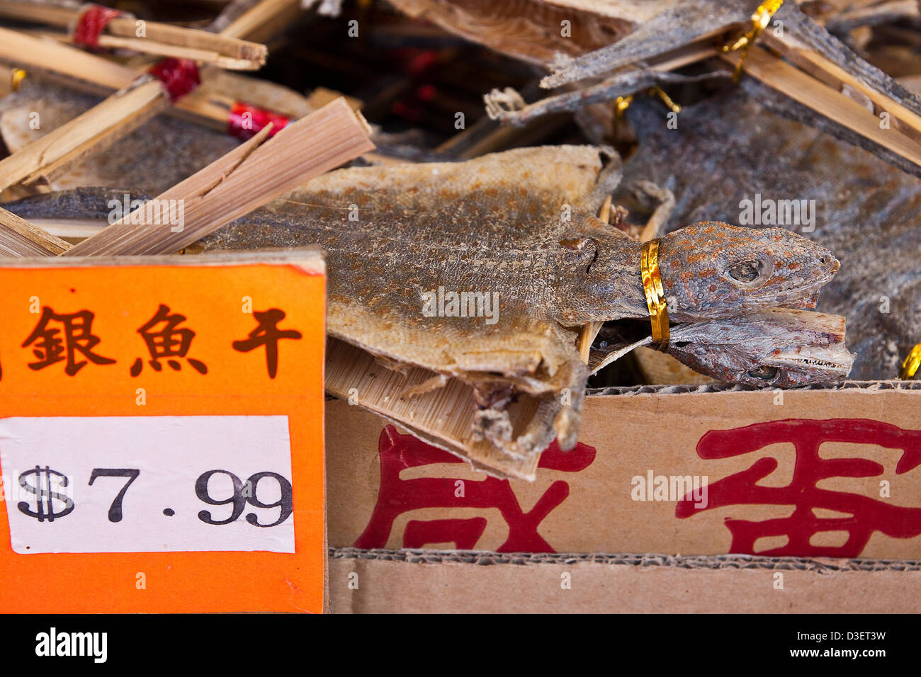 Dry lizard on a Chinese grocery store. Chinatown, Vancouver; British