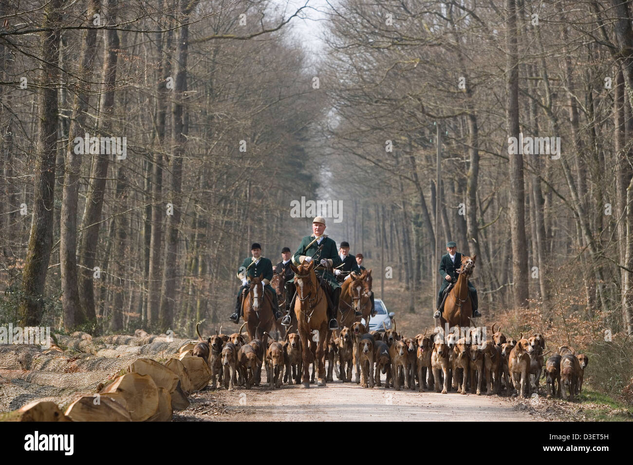 Rene “Babou” Kleboth, founder of Vautrait de Banassat wild boar hunt, leads his huntsman back to their starting point. Stock Photo