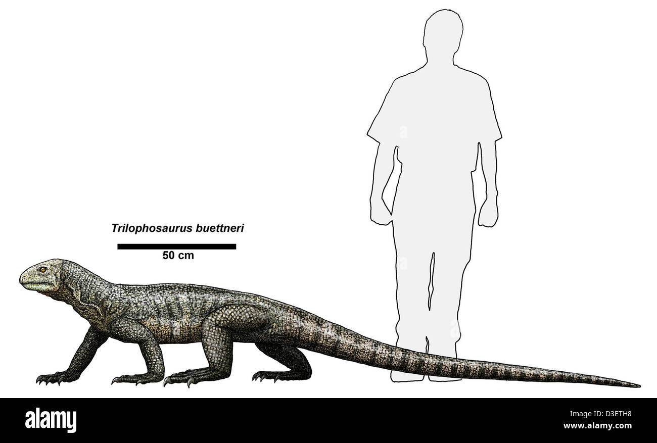 Trilophosaurus buettneri Stock Photo
