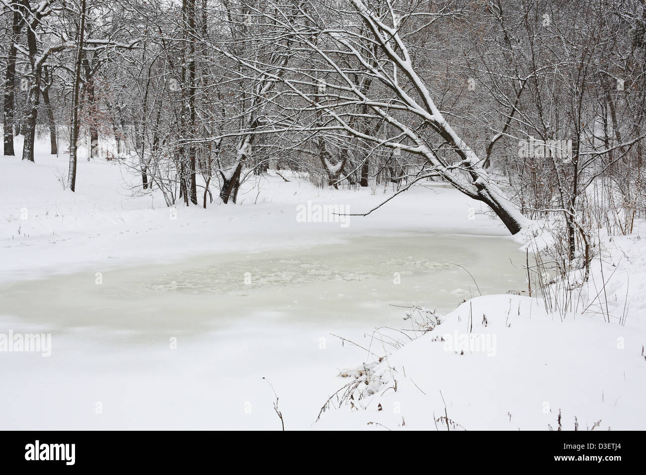 An area of thin ice on a creek in Minnesota. Stock Photo