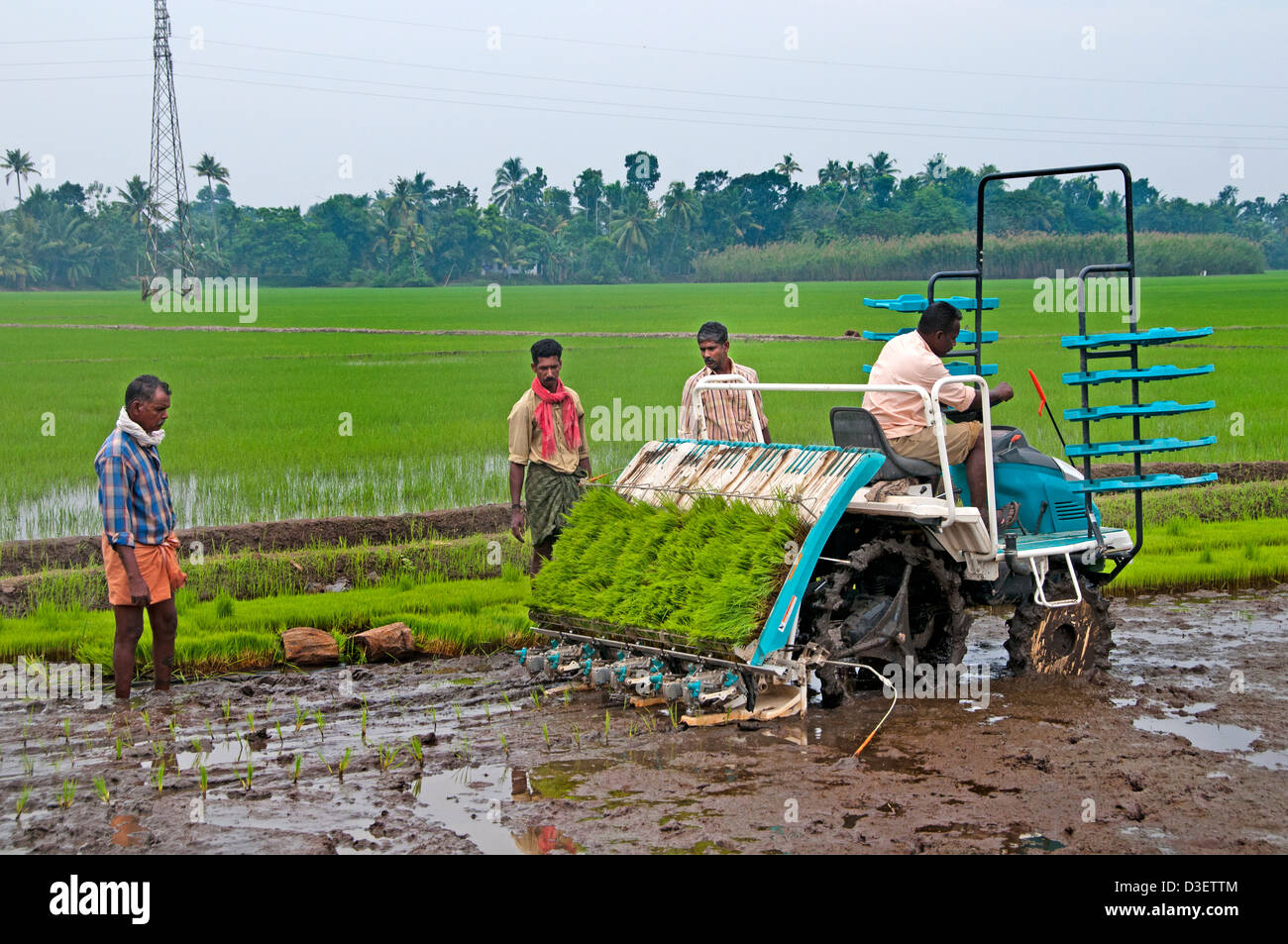 India Indian rice transplanter Alappuzha Alleppey  Kerala Stock Photo