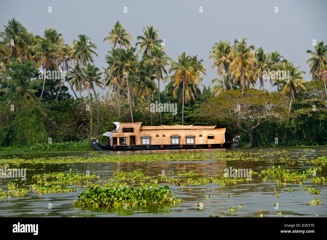 Houseboats Backwaters near Alappuzha (Alleppey), Kerala India Stock Photo