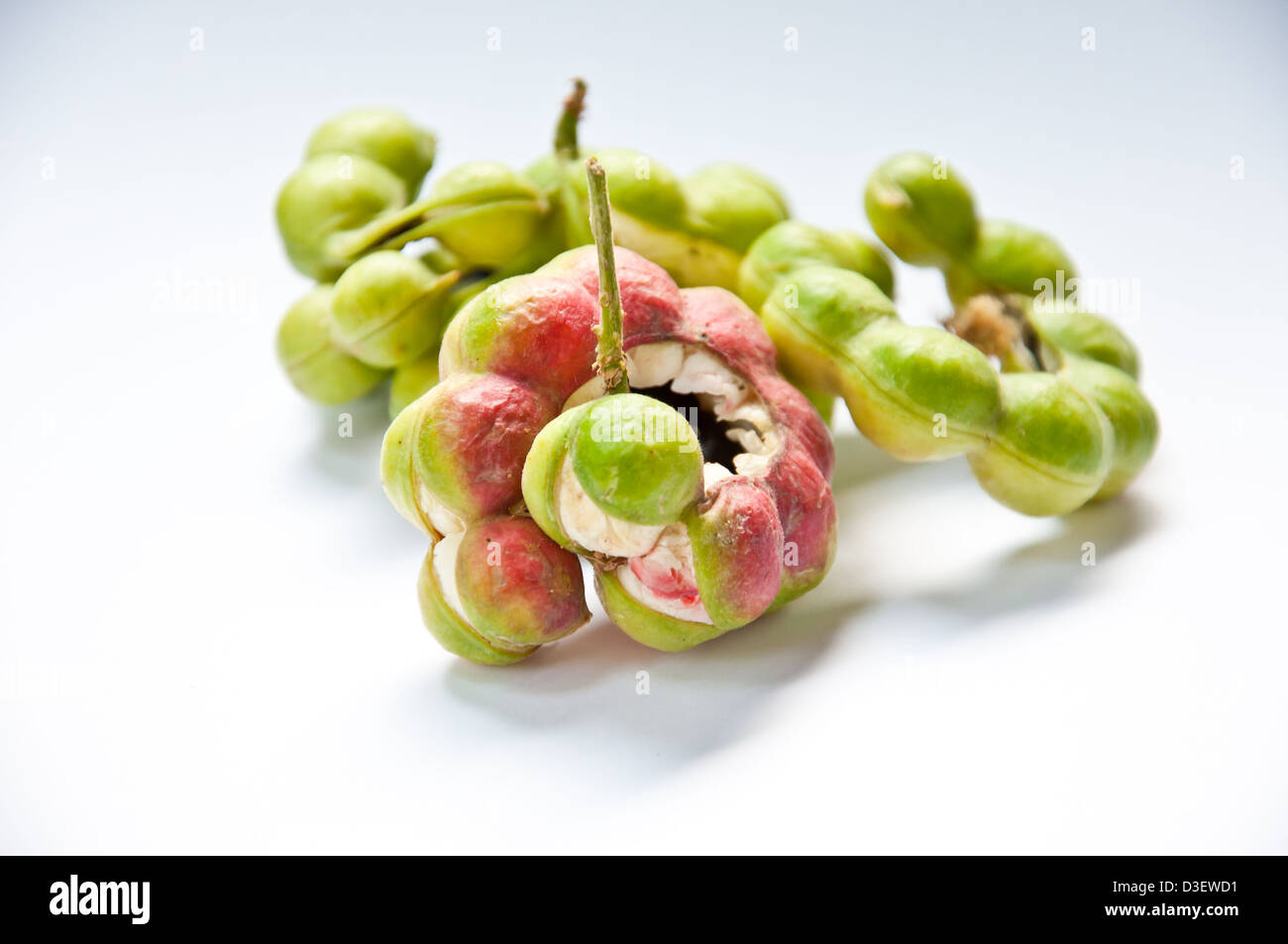 manila tamarind tropical fruit Stock Photo Alamy