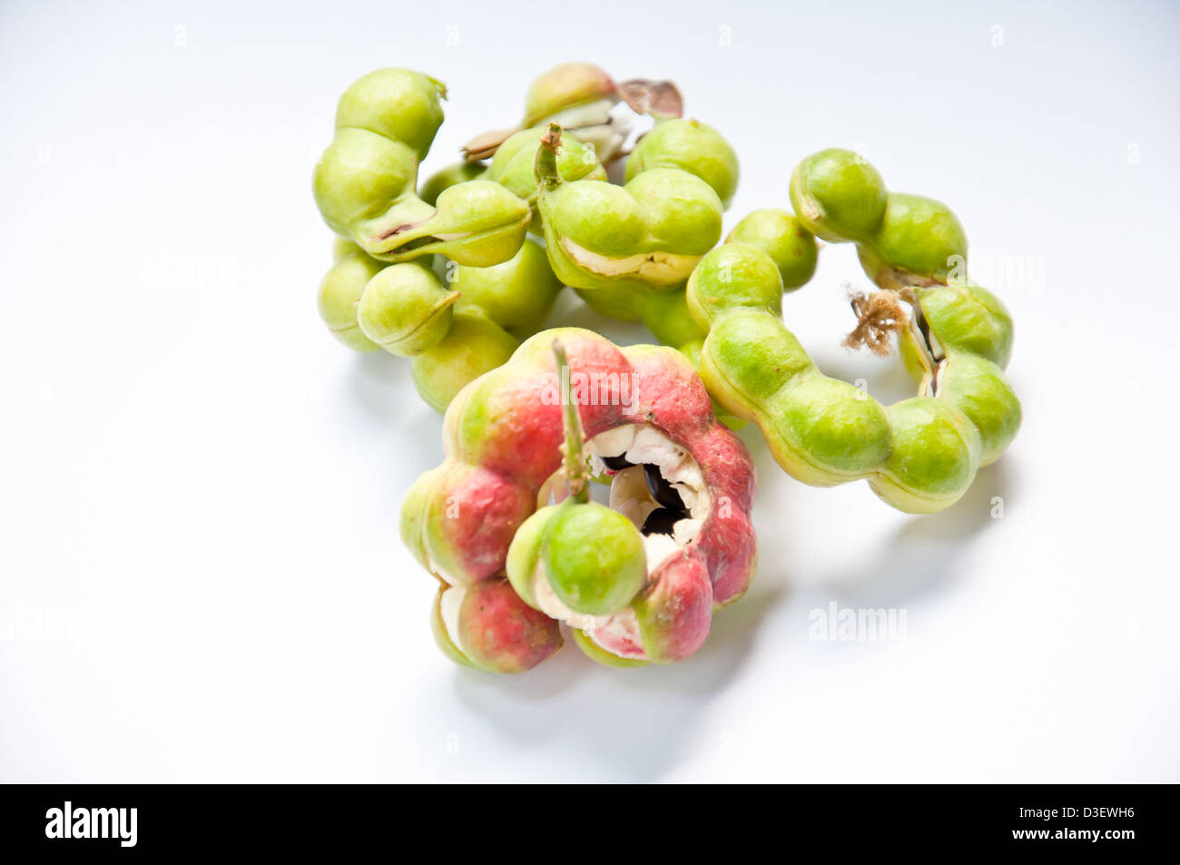 manila tamarind tropical fruit Stock Photo Alamy