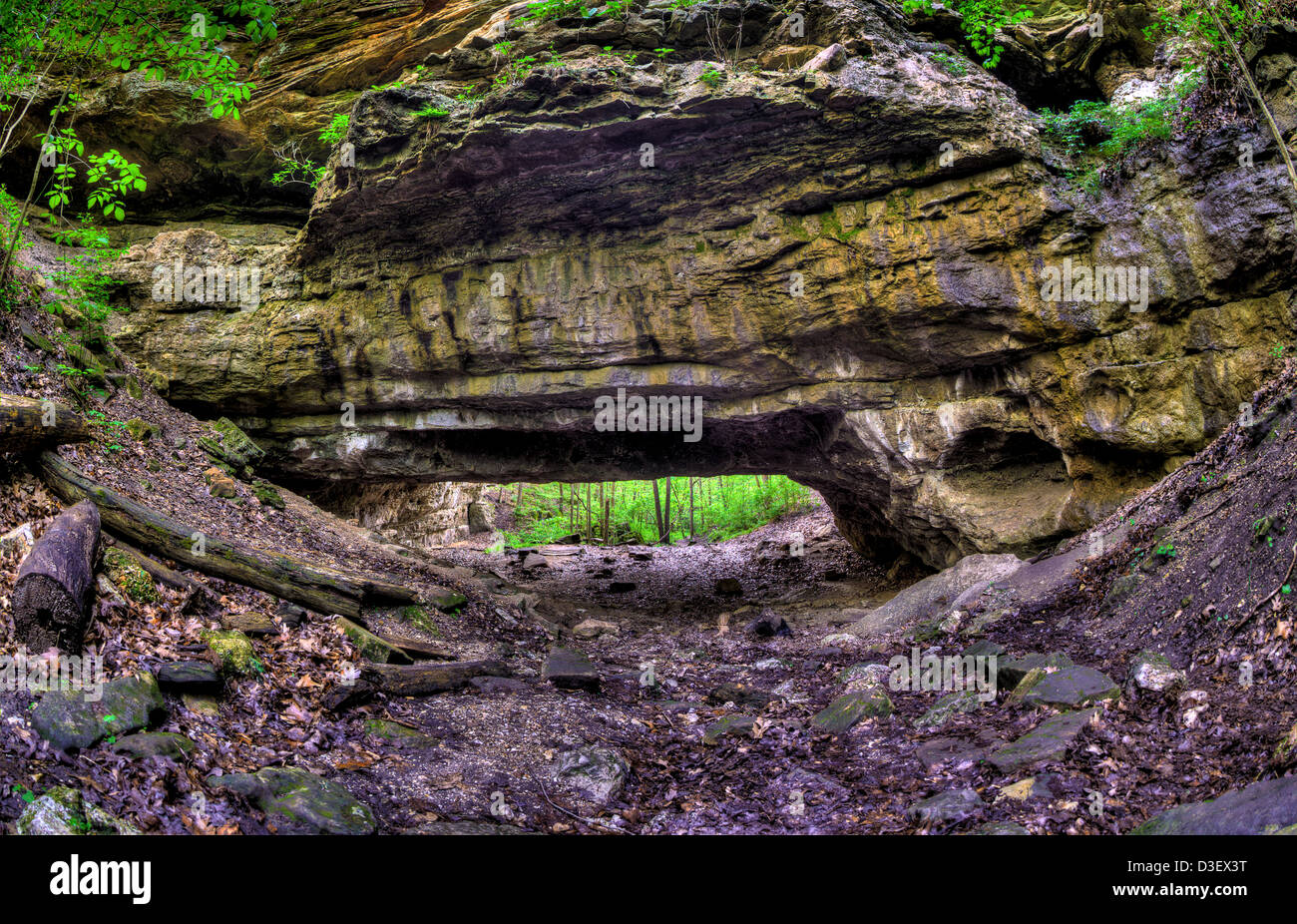 A wide angle shot of a natural rock bridge in a forest. Stock Photo