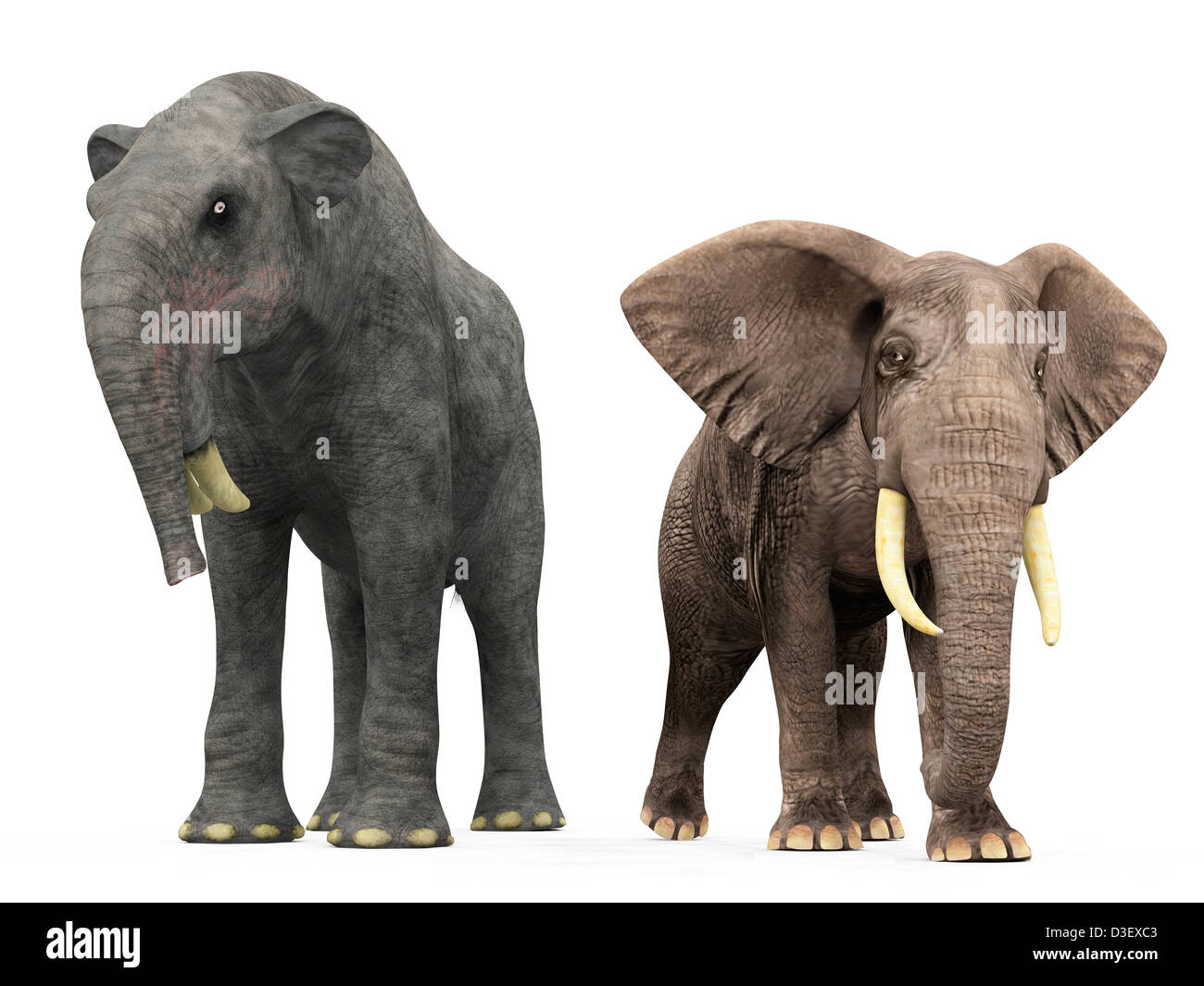 Deinotherium 3d pleistocene hi-res stock photography and images - Alamy