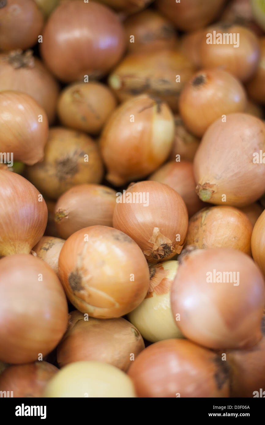 Fresh onions hi-res stock photography and images - Alamy