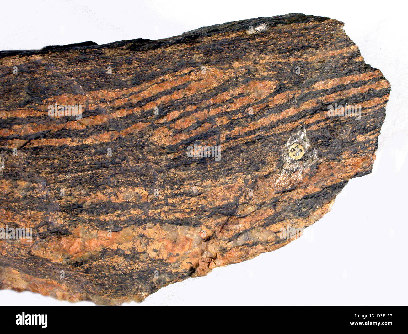 6770 Grand Canyon  Tigmatic Folding in Vishnu Schist Stock Photo