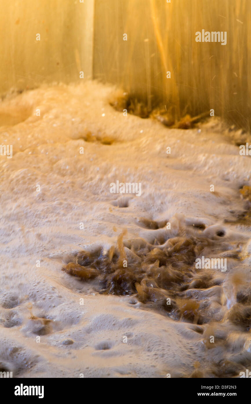 Wine Making in California Stock Photo Alamy