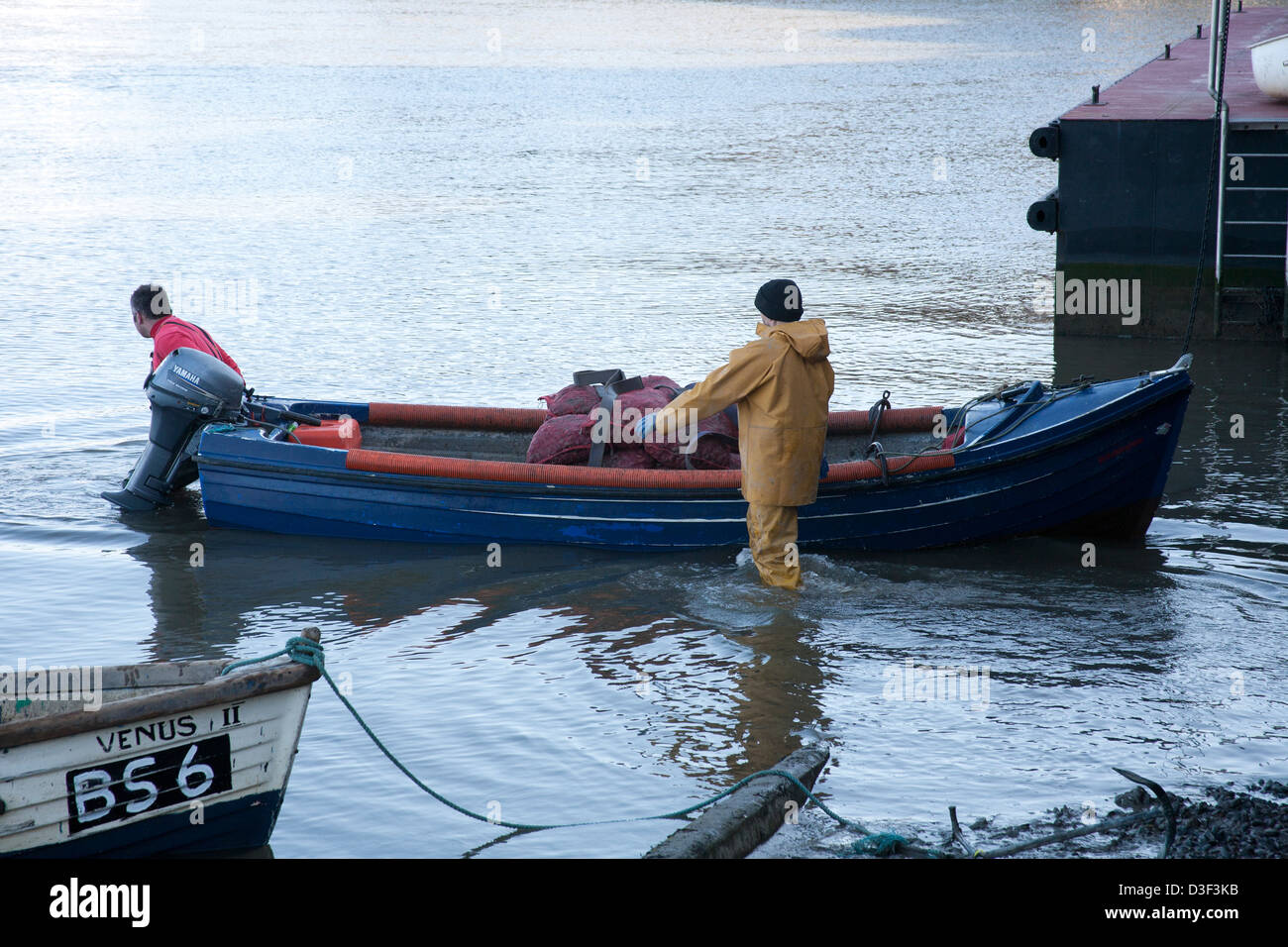 Fishermen positioning a boat ready for the catch to be lifted to the quayside, Conwy in North Wales, UK Stock Photo