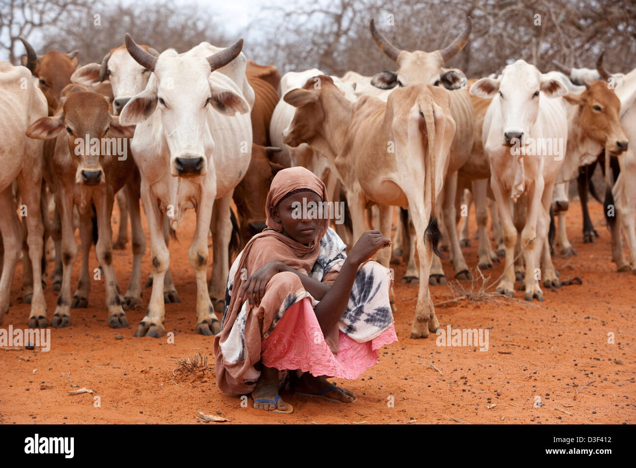 BUKE, NORTH OF ELWAK, EASTERN KENYA, 1st SEPTEMBER 2009: A sheperdess with her thin cows. Stock Photo