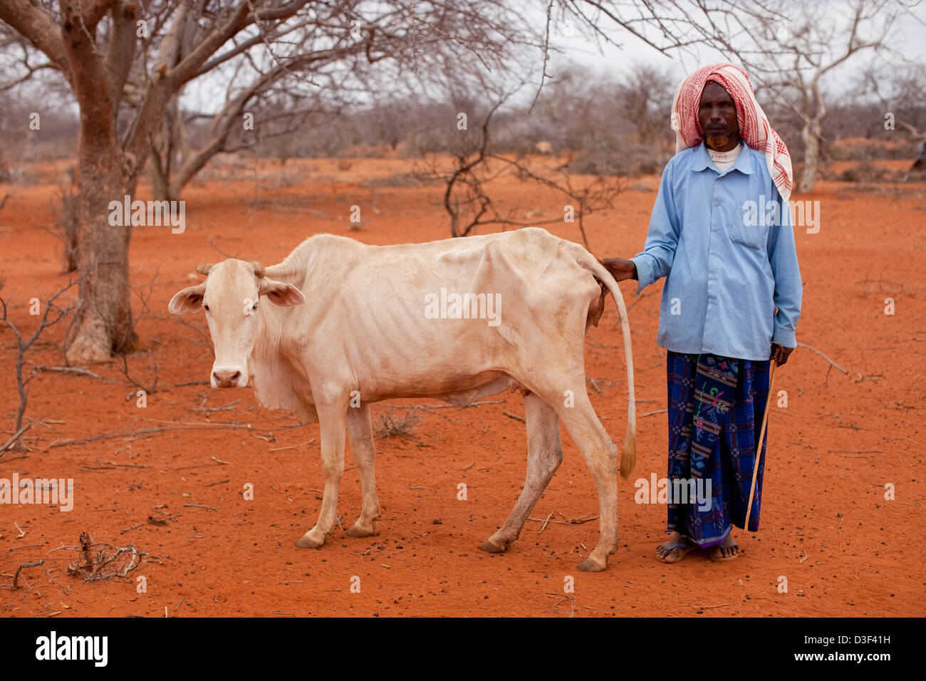 BUKE, EASTERN KENYA, 1st SEPTEMBER 2009: Hassan Emoi Elio, 60, used to have 54 cows, and now has only three left. Stock Photo