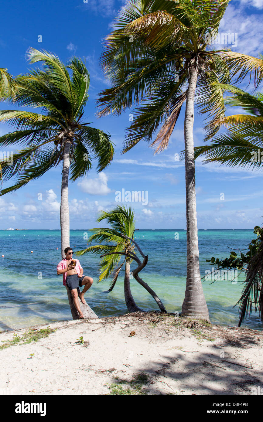 Man under palm trees drinking a coconut water Stock Photo Alamy