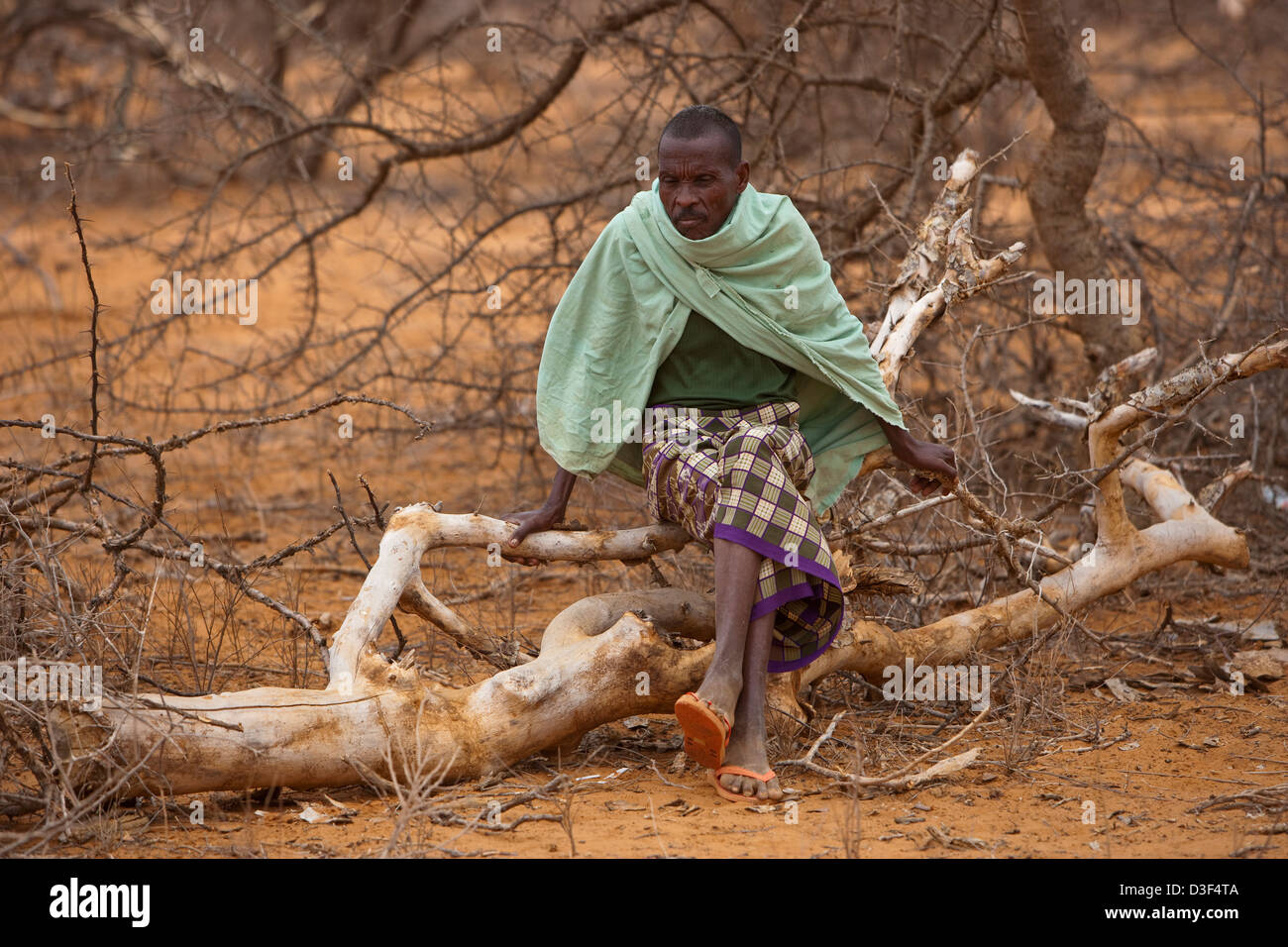 NYTALIYO, NORTH OF ELWAK, EASTERN KENYA, 3rd SEPTEMBER 2009: A man sits on a felled tree and considers suicide. Stock Photo