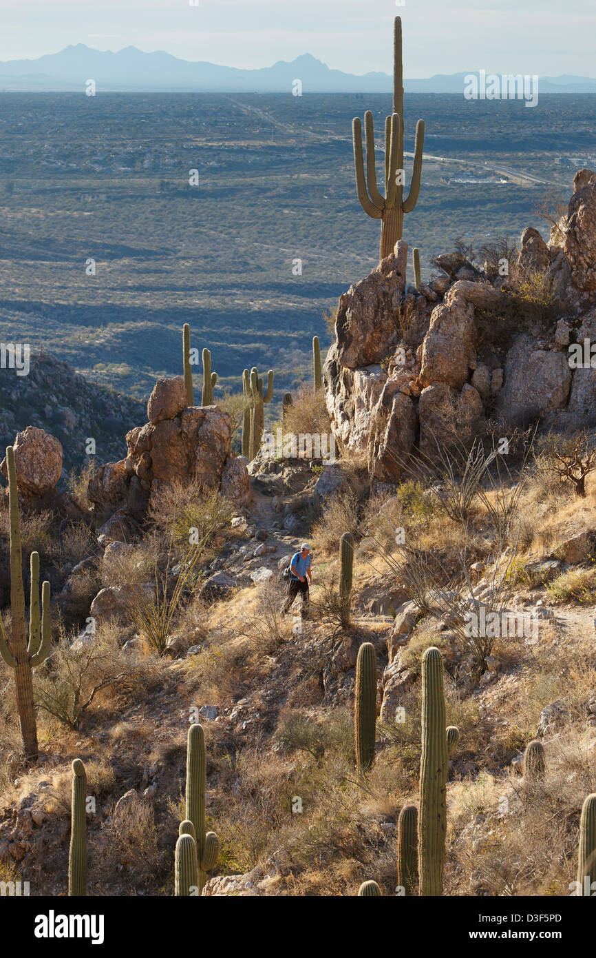 Man walking a trail in Catalina State Park Arizona USA Stock Photo