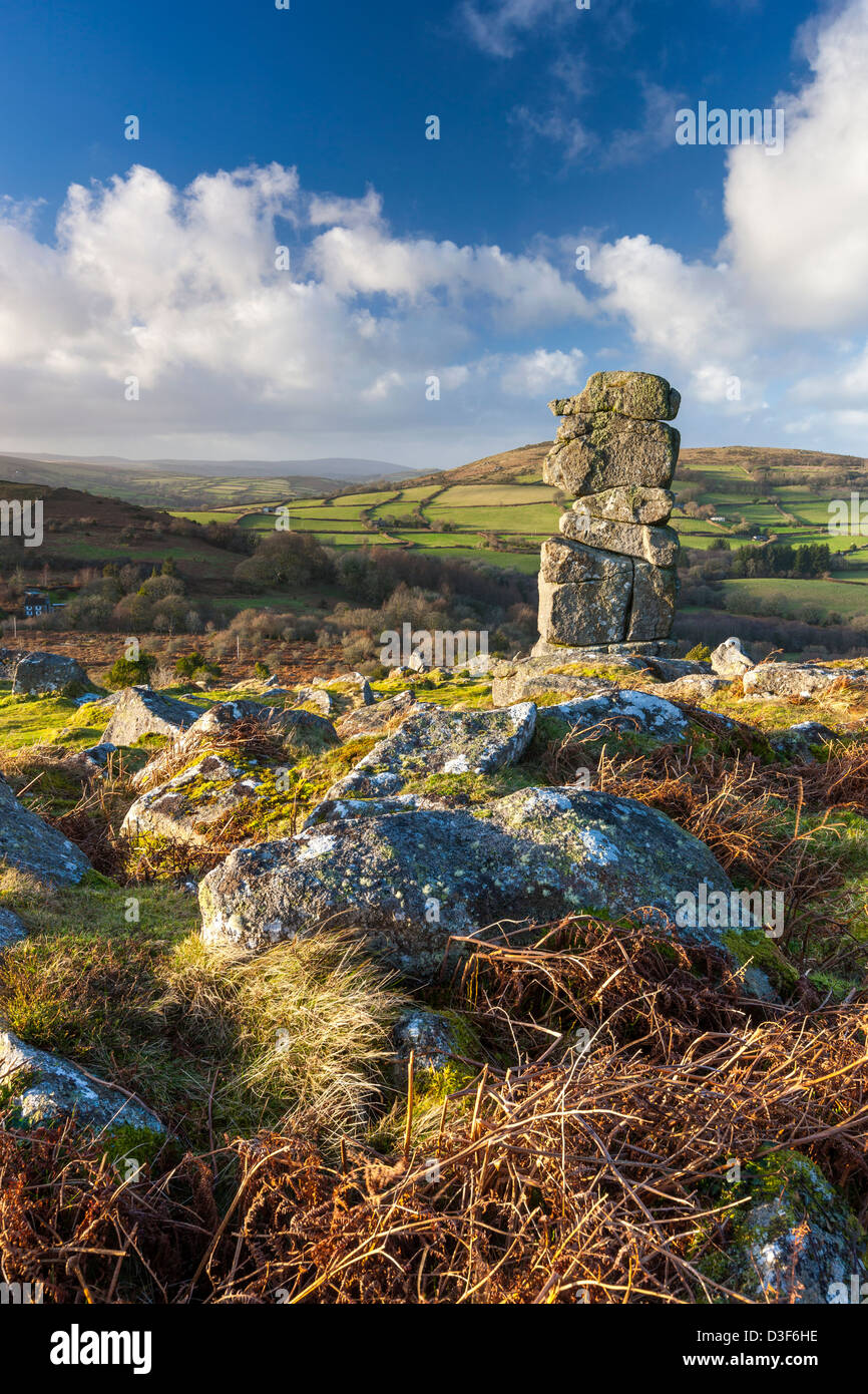 Bowerman's Nose, a stack of weathered granite on Hayne Down in Dartmoor National Park near Manaton, Devon, England, UK, Europe. Stock Photo