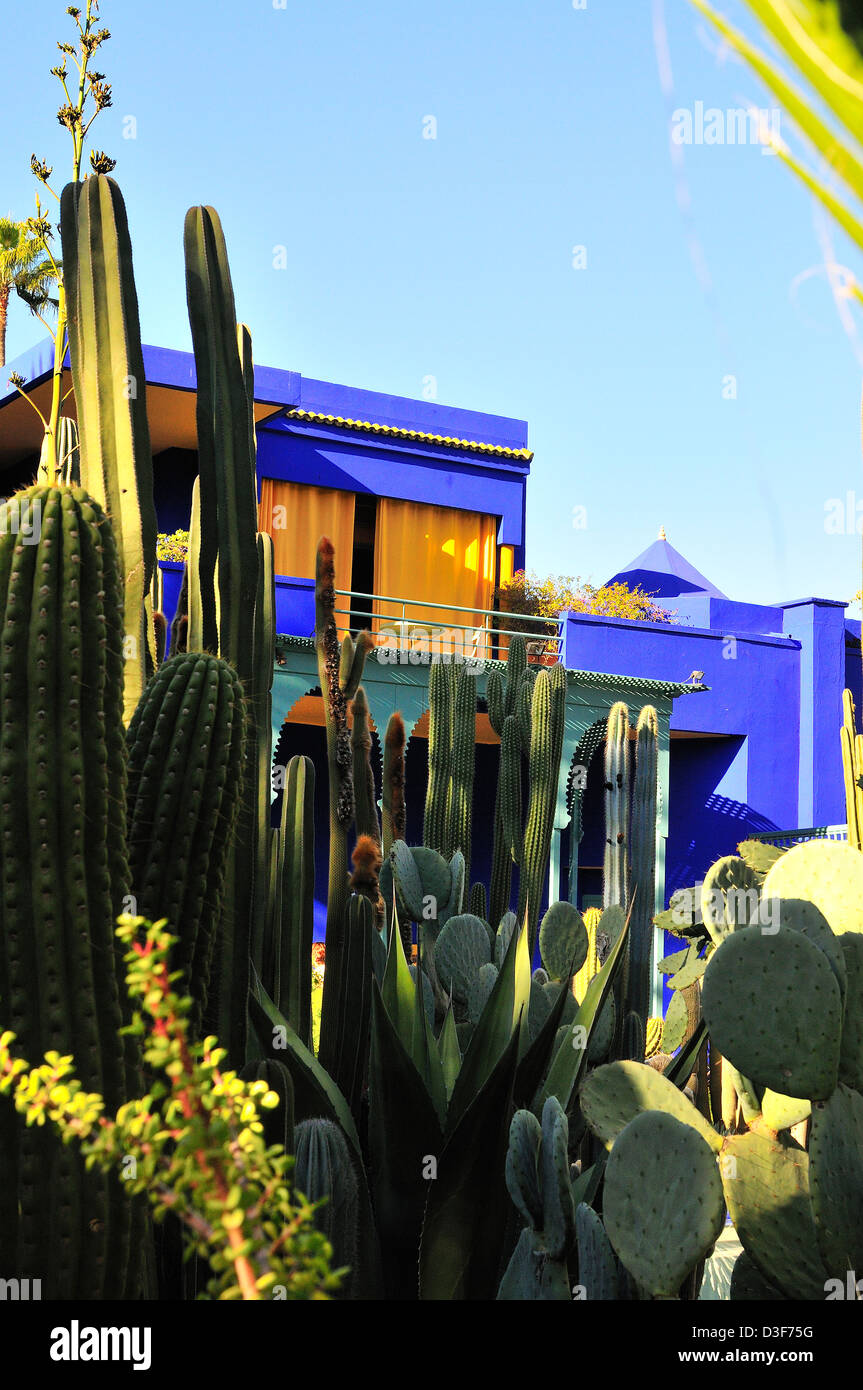 Vivid colours -cobalt blue and chrome yellow  adorn cacti pots and house walls at the Majorelle Garden (Jardin Majorelle)Marrakesh, Morocco Stock Photo