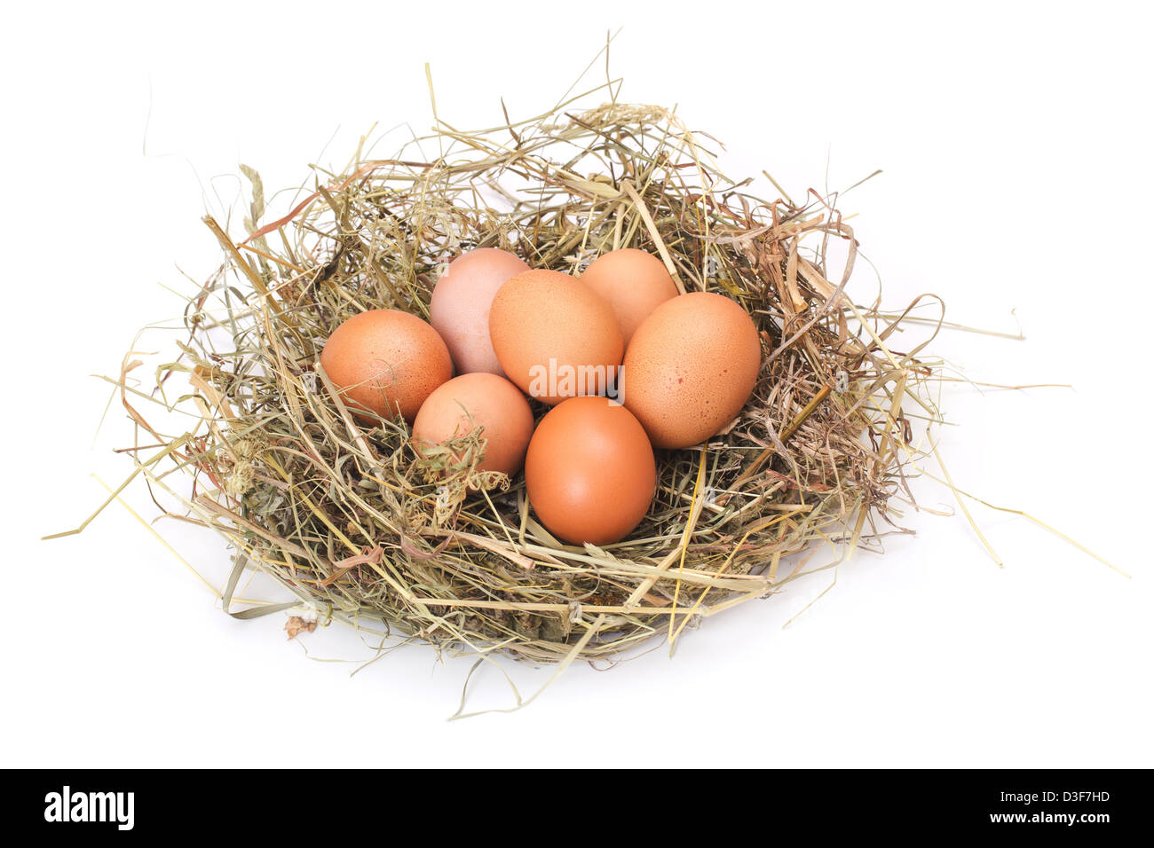 Brown eggs in a nest isolated on a white background Stock Photo - Alamy