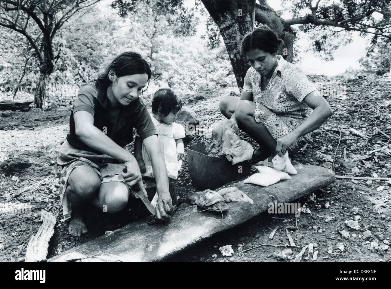 GUAZAPA, EL SALVADOR, June 1982: - Within the FPL Guerrilla's Zones of Control -  Women working in the fishing cooperative gut fish caught in nearby lake Cuscatlan.   Photo by Mike Goldwater Stock Photo